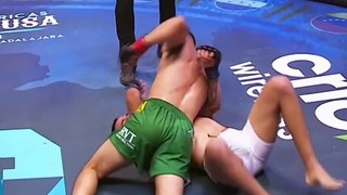 Best MMA knockouts of 2020