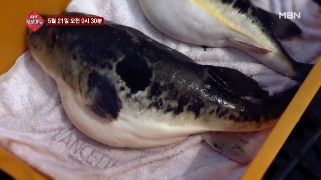 생생 정보마당 [636회] - 여유 있는 목요일