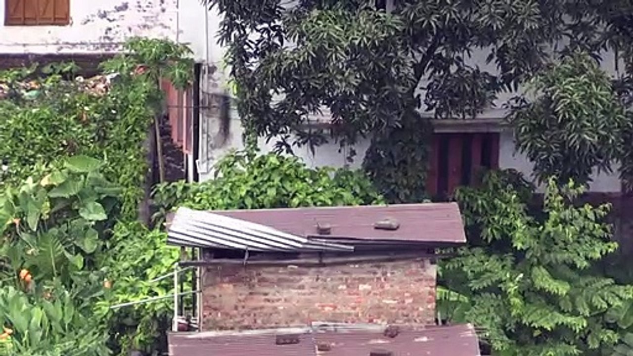 Masivas evacuaciones ante la llegada de gran ciclón en India y Bangladés