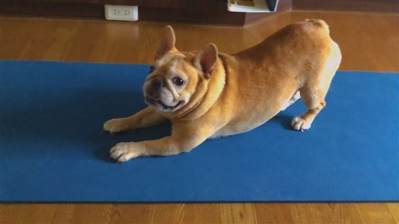 Keine Lust mehr, alleine zu trainieren?