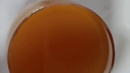 Immunity booster drink - Kada