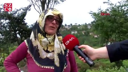 Çay işçileri gelemedi, üreticiler ailece tarlaya girdi