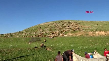 Göçerlerin zorlu yolcuğu başladı