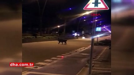 Marmaris'te sokağa indiler! Bölge sakinleri CHP'li belediyeye tepki gösterdi