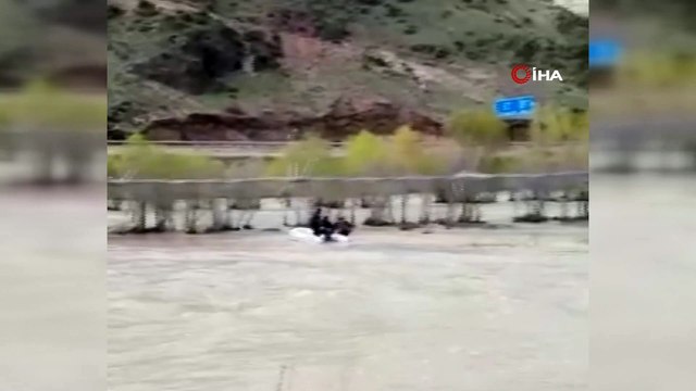 Aras Nehri’ne düşen danayı AFAD ekipleri böyle kurtardı