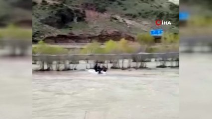 Aras Nehri’ne düşen danayı AFAD ekipleri böyle kurtardı