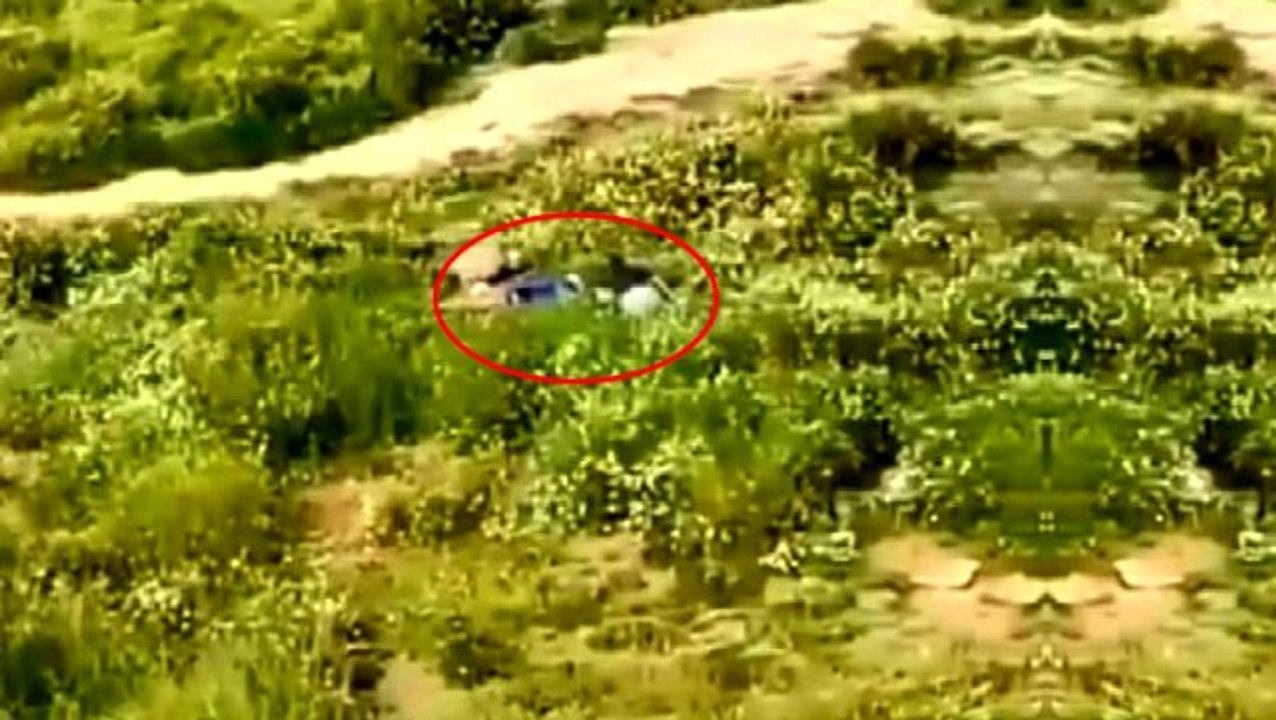 65 yaş üstü 3 kişi, polis ekiplerini görünce otların arasına saklandı