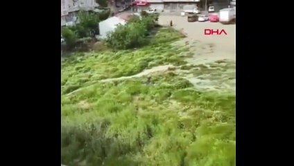 65 yaş üstü 3 kişi polisi görünce böyle saklandı