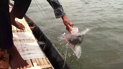Best Fishing Video Using Hook In River! Really Amazing Fihs Hunting!