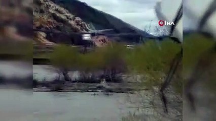 Aras Nehri’ne düşen danayı kurtarma operasyonu