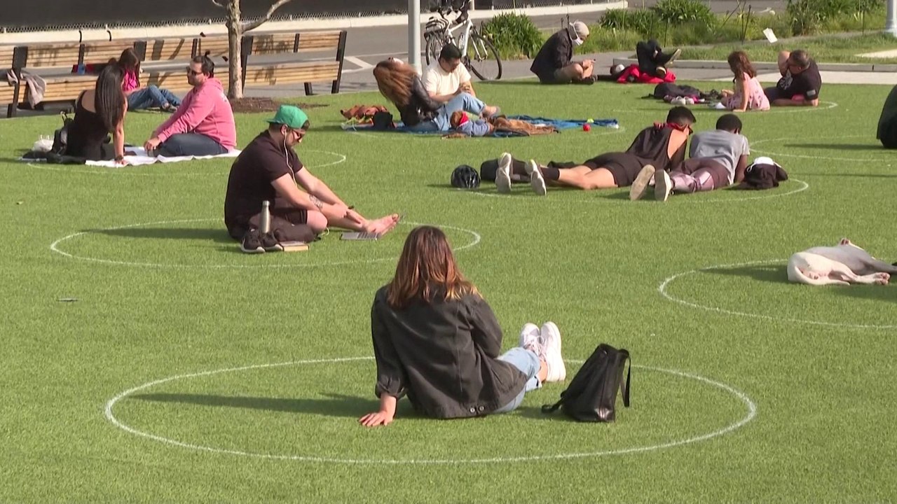 Des cercles tracés au sol dans un parc de New Y...