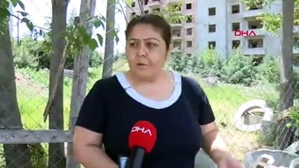 Sitede köpek besleme kavgası! Balkonlardan patates, soğan fırtlattılar