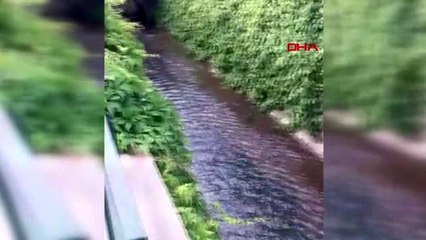 Yaralı martıyı kurtarmak için indiği derede mahsur kaldı
