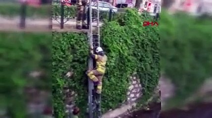 Yaralı martıyı kurtarmak için indiği derede mahsur kaldı