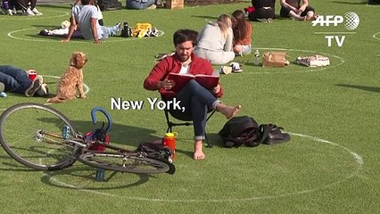 Des cercles de distanciation sociale dans un parc new-yorkais