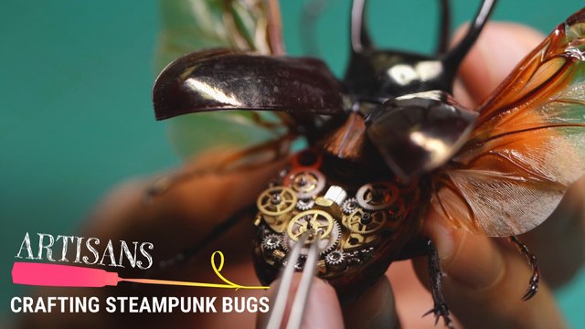 This Guy Turns Bugs Into Steampunk Machines