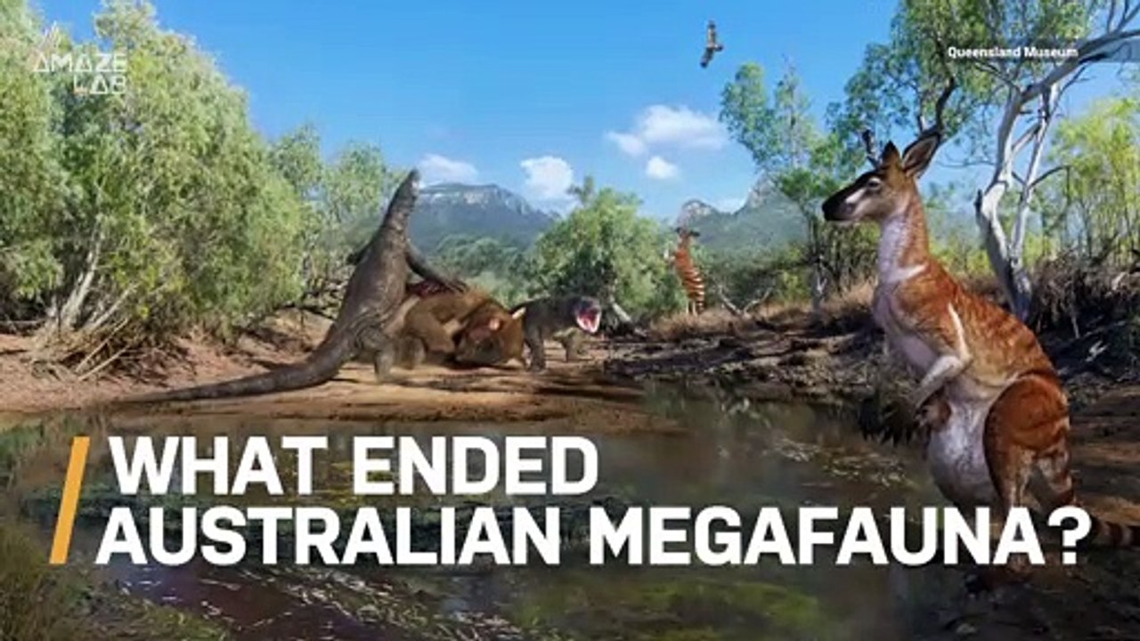 Fossils Reveal What Drove Giant Crocs, Kangaroos, and Wombats to Extinction