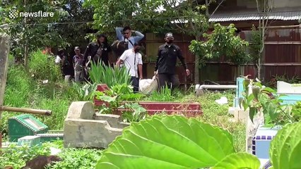 Indonesian volunteers rescue and relocate nine huge pythons back into the wild