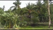 Cyclone Amphan makes landfall in Bangladesh