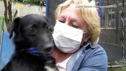 Adorable Pets Delivered to Homes in Brazil to Help with COVID-19 Emotional Stress