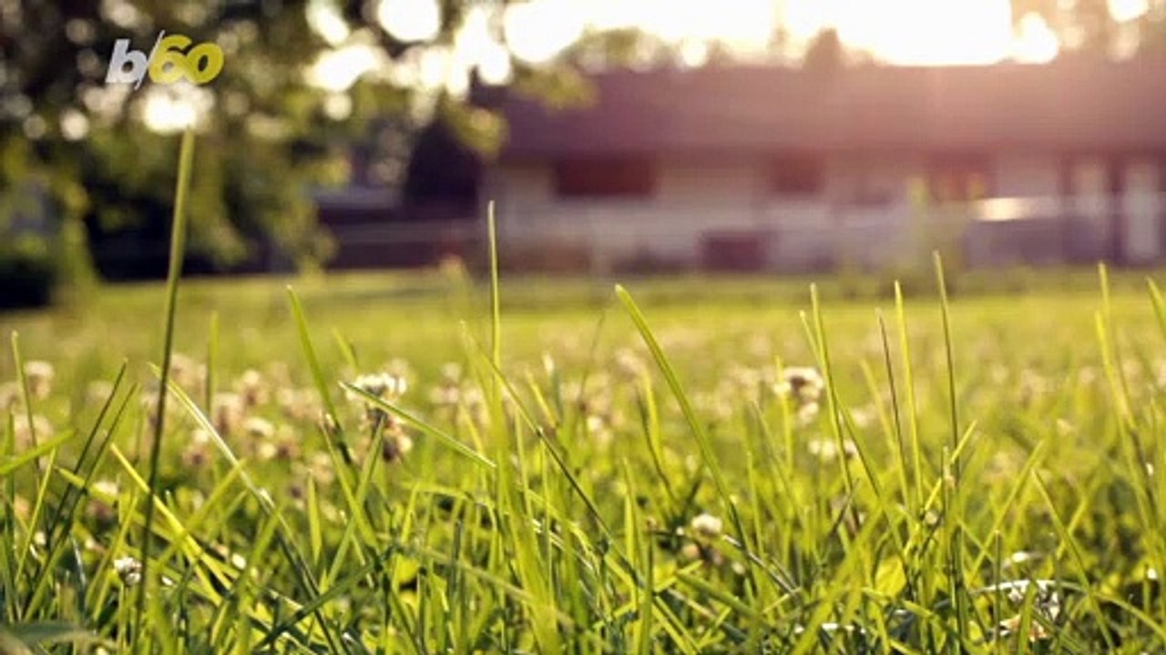 Homebound? Here Are Some Fun Activities to Do While in Lockdown!
