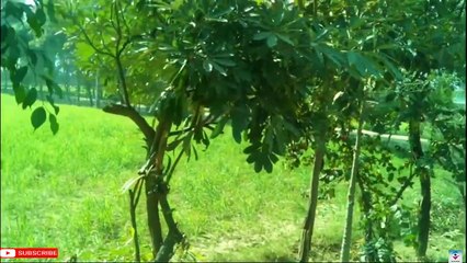 पुरूष हो या स्त्री 1 मिनट में करे वशिकरण