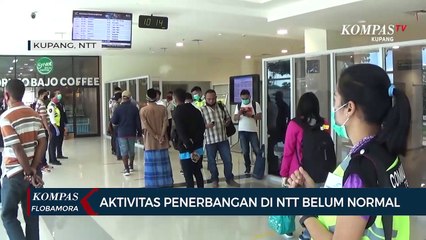 Aktifitas Penerbangan di NTT Belum Normal
