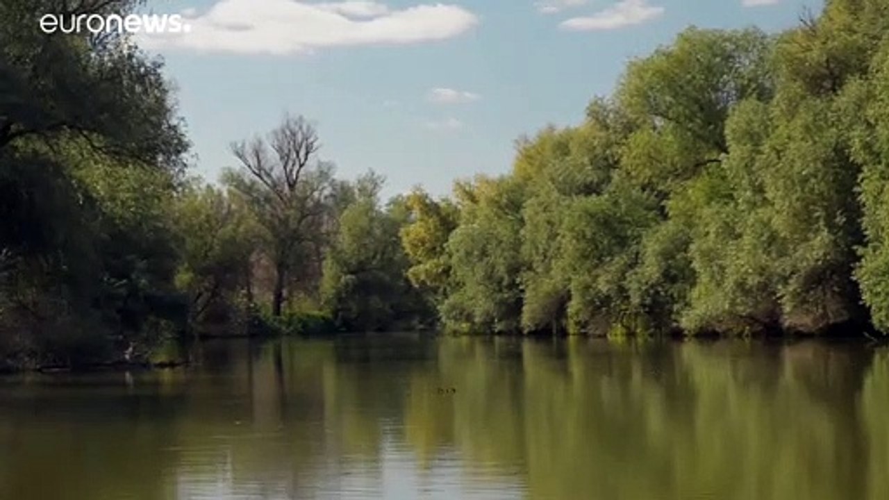 Das Wolga-Delta - ein einzigartiges Ökosystem