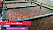 Invest 50,000 and earn 200,000 in 6 months  in fish farming .Pond design for high density fish farming-Biofloc fish farming