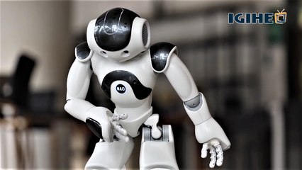 All the facts you need to know about Zora the Humanoid Robot