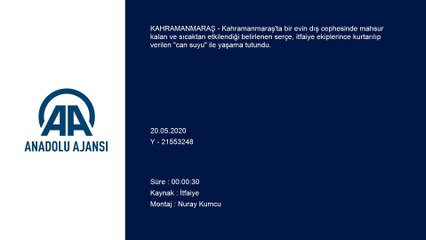 İtfaiyecilerin kurtardığı serçe 'can suyu' ile yaşama tutundu - KAHRAMANMARAŞ