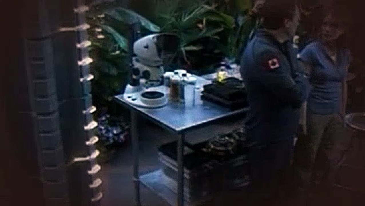 Stargate Atlantis S04E13 Quaratine
