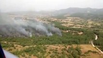 Milas'ta orman yangını (2) - MUĞLA