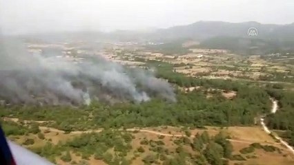 Milas'ta orman yangını (2) - MUĞLA