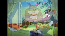 Tom & Jerry | The Peace Treaty | Classic Cartoon | kidsfunzone