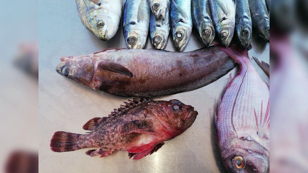 Du poisson frais tous les jours à Carry-le-Rouet