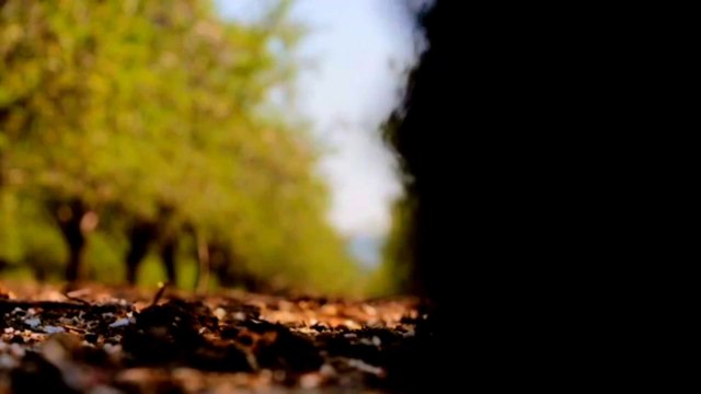 Brain। amazing facts। Brain facts। interesting facts।