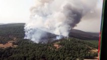 Milas'ta orman yangını (4) - MUĞLA