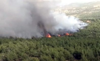 Muğla'daki orman yangını havadan ve karadan müdahaleye rağmen büyüyor