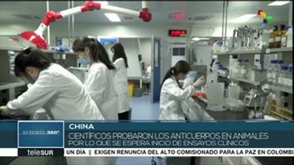 China logra aislar anticuerpos que combaten al SARS-CoV-2