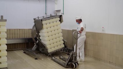 Në 29 maj nisin aplikimet për fondet e Skemës Kombëtare, Çuçi: Mbështetja më e madhe për blegtorinë