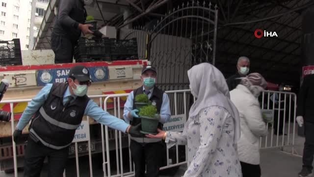Şahinbey'den vatandaşlara 30 bin adet reyhan çiçeği