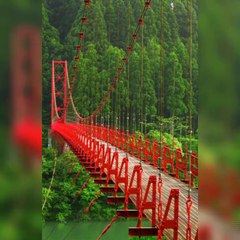 Adventures and Dangerous Bridges