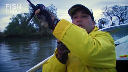 Fish Finder, 2do día de bajada por el río Paraná, Surubí