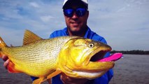 Fish Finder en el Alto Paraná -  Pesca de Pacú bestia con señuelos en Ita Ibaté