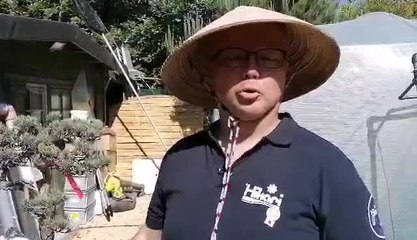 Ouverture d'une pépinière asiatique à Wasseiges