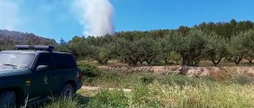 Los bomberos trabajan contra las llamas del incendio forestal de Los Arcos