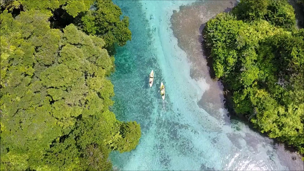 Caribbean Veraguas - Escudo de Veraguas