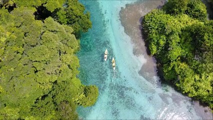Caribbean Veraguas - Escudo de Veraguas