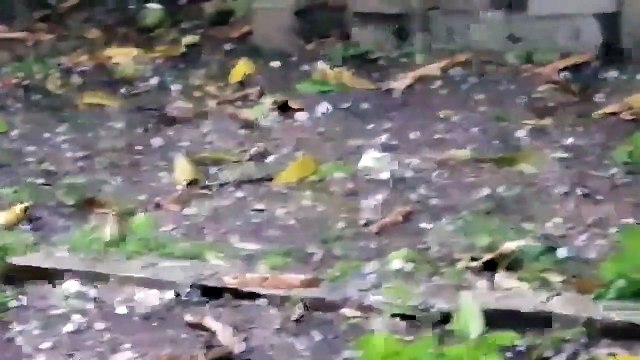 Gros grêlons à Ciudad Valles au Mexique ! 18 Mai 2020